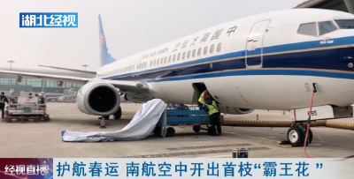 护航春运 南航空中开出首枝“霸王花 ” 