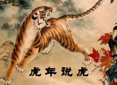 科普：虎年说虎——全球老虎生存保护状况