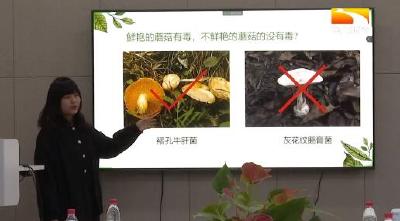 怎么吃怎么喝更健康 华农学生为您科普