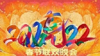 今年春晚怎么看？硬核技术竖屏看