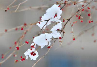 武汉2022年的初雪要来了！就在明天