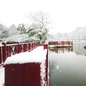 今起进入“四九”，春运期间天气可能不平静！