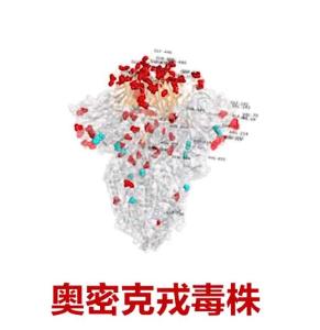 奥密克戎有望终结疫情？世卫组织官员警告小心变异