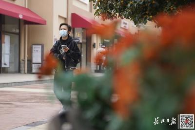口罩会致癌，使用前要抖一抖？假的！专家答疑来了
