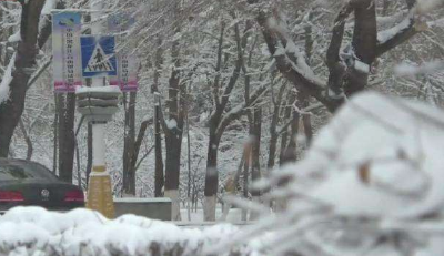 湖北省启动气象灾害(暴雪)  V级应急响应