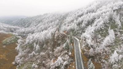 “恩施屋脊”现绝美雾凇奇观 车行其中宛若童话世界