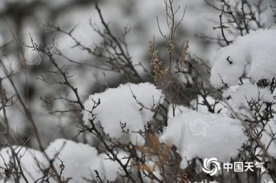 注意！25日起中东部将迎来新一轮大范围雨雪天气