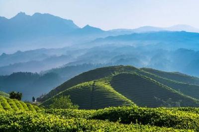 正风反腐新答卷 | 保护清白干部 激励担当作为 湖北为2815名受到不实举报干部澄清正名