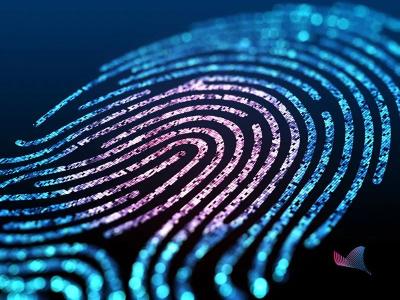 一斗穷、二斗富？你的指纹，竟然藏着这些秘密