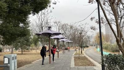 春节前，武汉这片区域又有公园完工