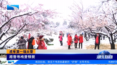 虎年第一场大雪 | 踏雪寻梅赏银装 部门联合保安全