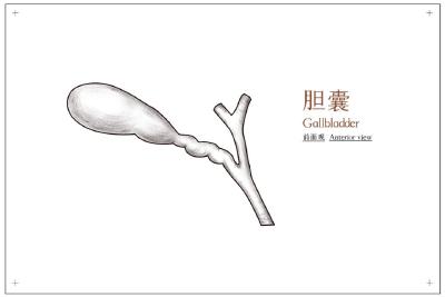 这种病治疗不当会致命，切莫忽视“看似平常”的上腹部疼痛！