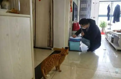 能赚钱又能撸猫逗狗？宠物上门喂养“真香”背后藏风险
