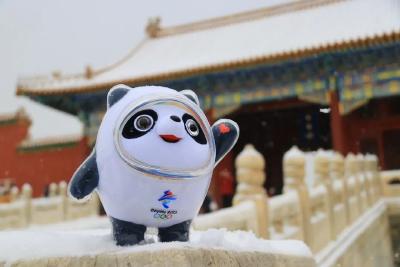 虎年初雪，故宫绝美雪景上新了！