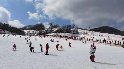 冬奥开幕带动冰雪旅游火爆，湖北两滑雪场紧急提示