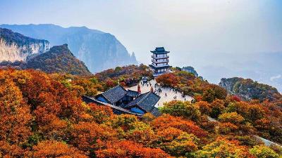 摆脱门票依赖 部分景区免门票后，收入不降反升？