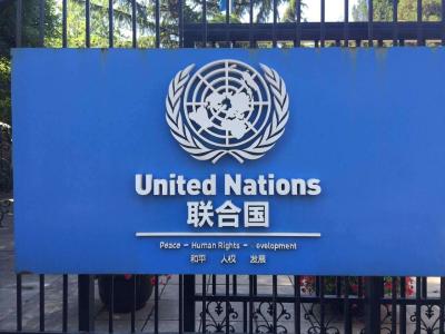 联合国安理会未通过关于乌克兰局势决议草案