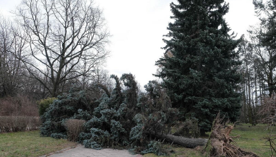 波兰强风天气已致4人死亡 超13万户家庭断电