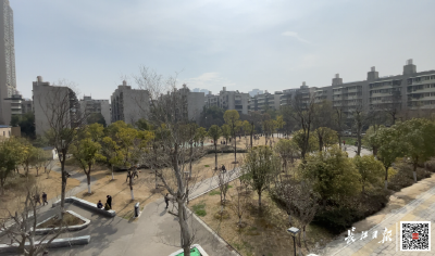 武汉今年建成各类公园100个 未来将迈向“千园之城”