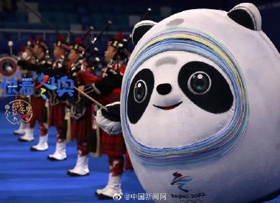 冬奥“顶流”墩宝最后一天上班，网友：已经开始想念了！