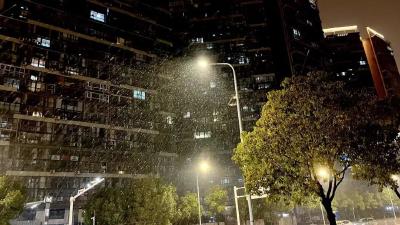 雪下了一整夜！湖北多地发布暴雪预警！