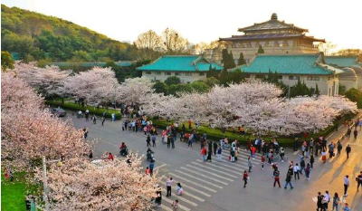 违规入校？不但禁止，而且严肃处理！