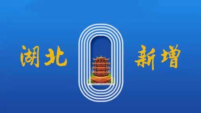 2022年3月9日湖北省新冠肺炎疫情情况