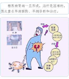 别让糖尿病伤了您的肾！