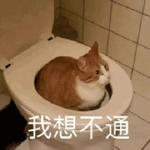 吸猫2年后，哮喘频发！？医生给撸猫族支招
