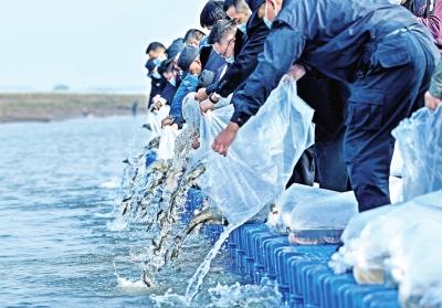 长江保护法实施一周年 武汉段水质连续优于国家考核目标