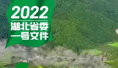 这份“礼包”够硬核！9张图带您秒懂2022年湖北省委一号文件