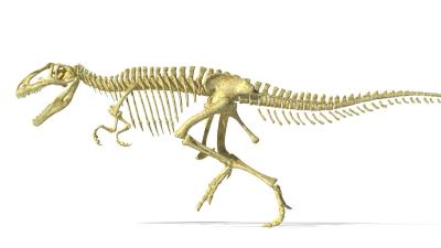 “中国龙城”诸城发现罕见早白垩世恐龙遗迹化石