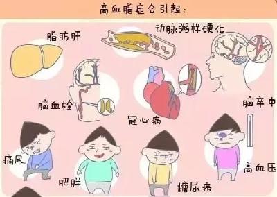 节后血脂升高？还可以拯救一下