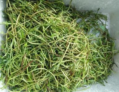 价格下跌！很多湖北人爱吃