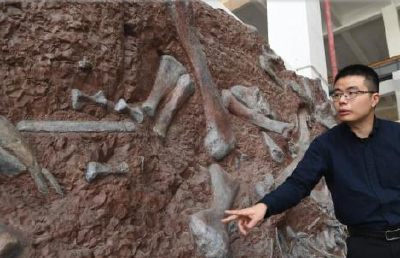 重庆发现亚洲最古老的剑龙化石