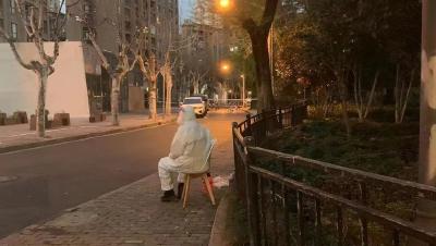 网传“上海两棵树阳性被隔离”？官方辟谣