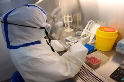 河北昨日新增本土确诊病例14例