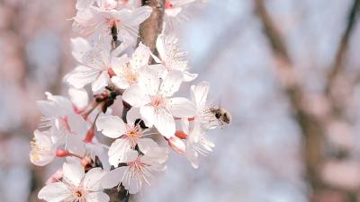 武汉“花名册”开始点名，我叫你一声你敢开吗