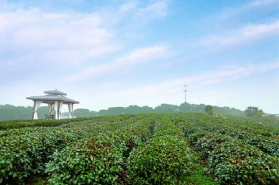 28批次药品不合格，依法查处！