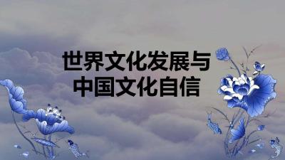 平视世界的一代 文化自信的一代
