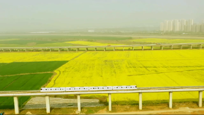 在武汉，坐着地铁去赏花！5条线路带你穿过“花海”