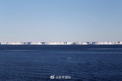 想去南极旅行吗？抓紧时间，剩下的冰架不多了......