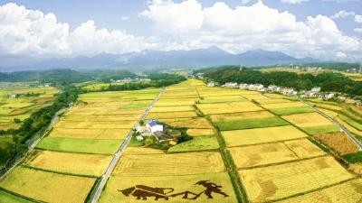 “荆楚春三月 百花遍地开”，又到一年赏花时