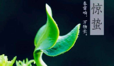 春雷响 万物长 明日惊蛰