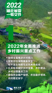 这份“礼包”够硬核！9张图带您秒懂2022年湖北省委一号文件