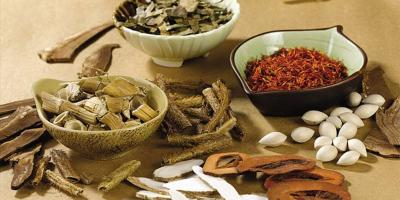 张伯礼代表：提升中药材质量，打造品牌效应