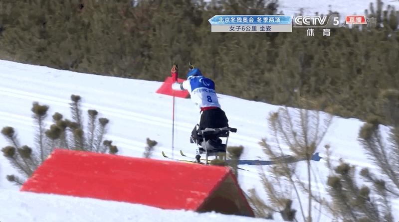 1金3银2铜！中国队夺牌速度太快了！