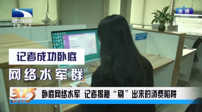 3.15调查 | 记者卧底网络水军群，复制粘贴3次2元