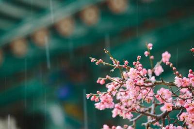 春雷来了！刚刚，湖北连发28道预警！接下来的天气……