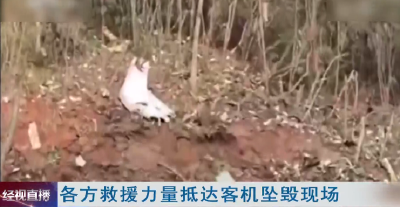 各方救援力量抵达客机坠毁现场 